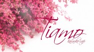 Кальянная «Tiamo»