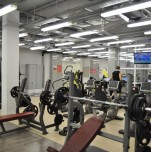Фитнес-клуб «Alex fitness»